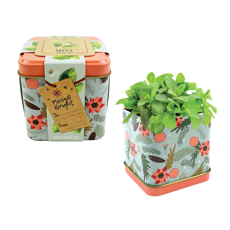 Holiday Decorative Tin Grow Kit | Mint 2-count