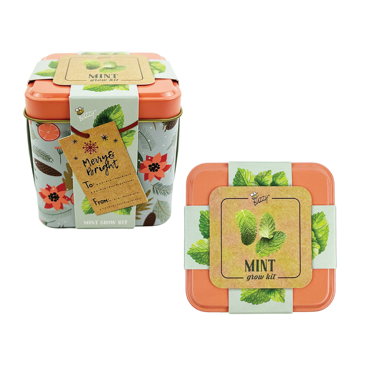 Holiday Mint Grow Kit | 2 Decorative Tins