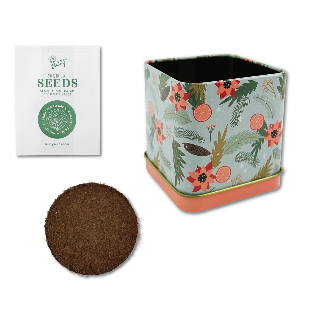 Holiday Mint Grow Kit | 2 Decorative Tins