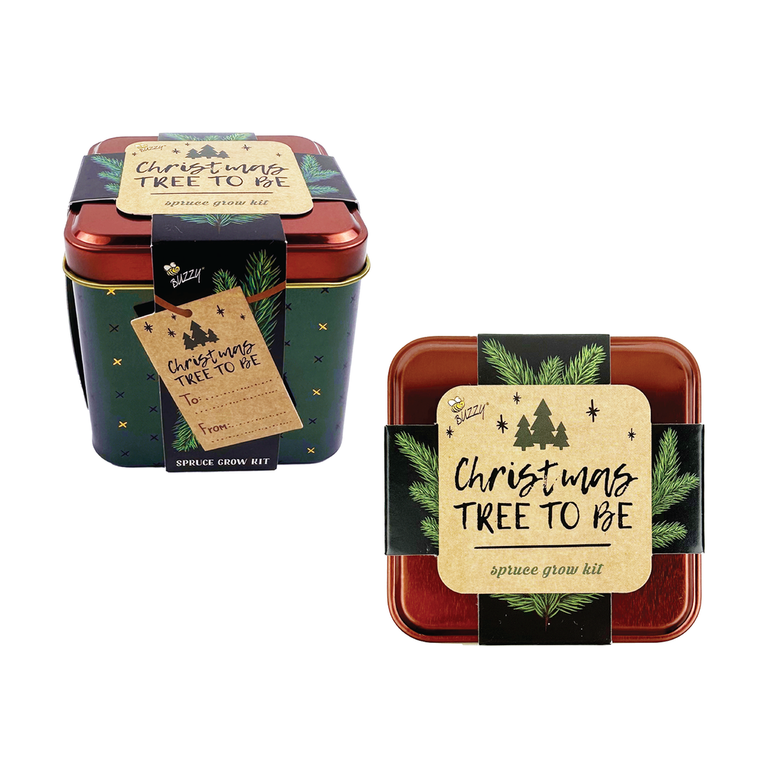Holiday Spruce Grow Kit | 2 Decorative Tins