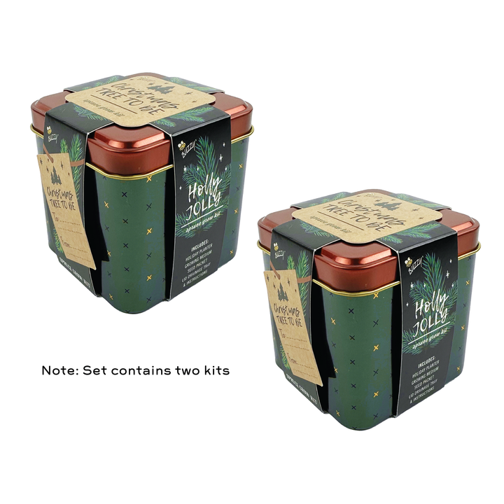 Holiday Spruce Grow Kit | 2 Decorative Tins