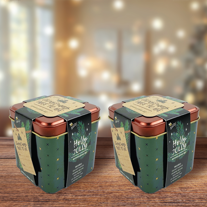 Holiday Spruce Grow Kit | 2 Decorative Tins