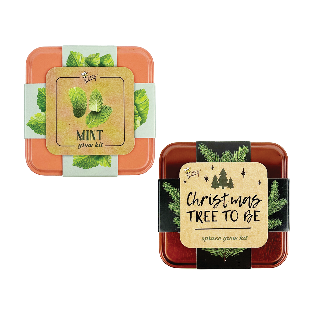 Festive Spruce & Mint Grow Kit | 2 Decorative Tins