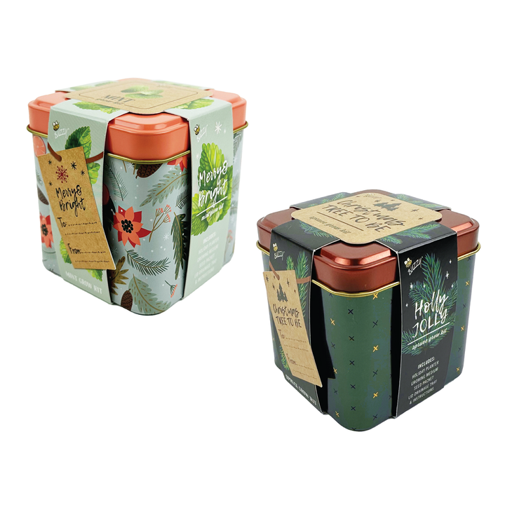 Festive Spruce & Mint Grow Kit | 2 Decorative Tins