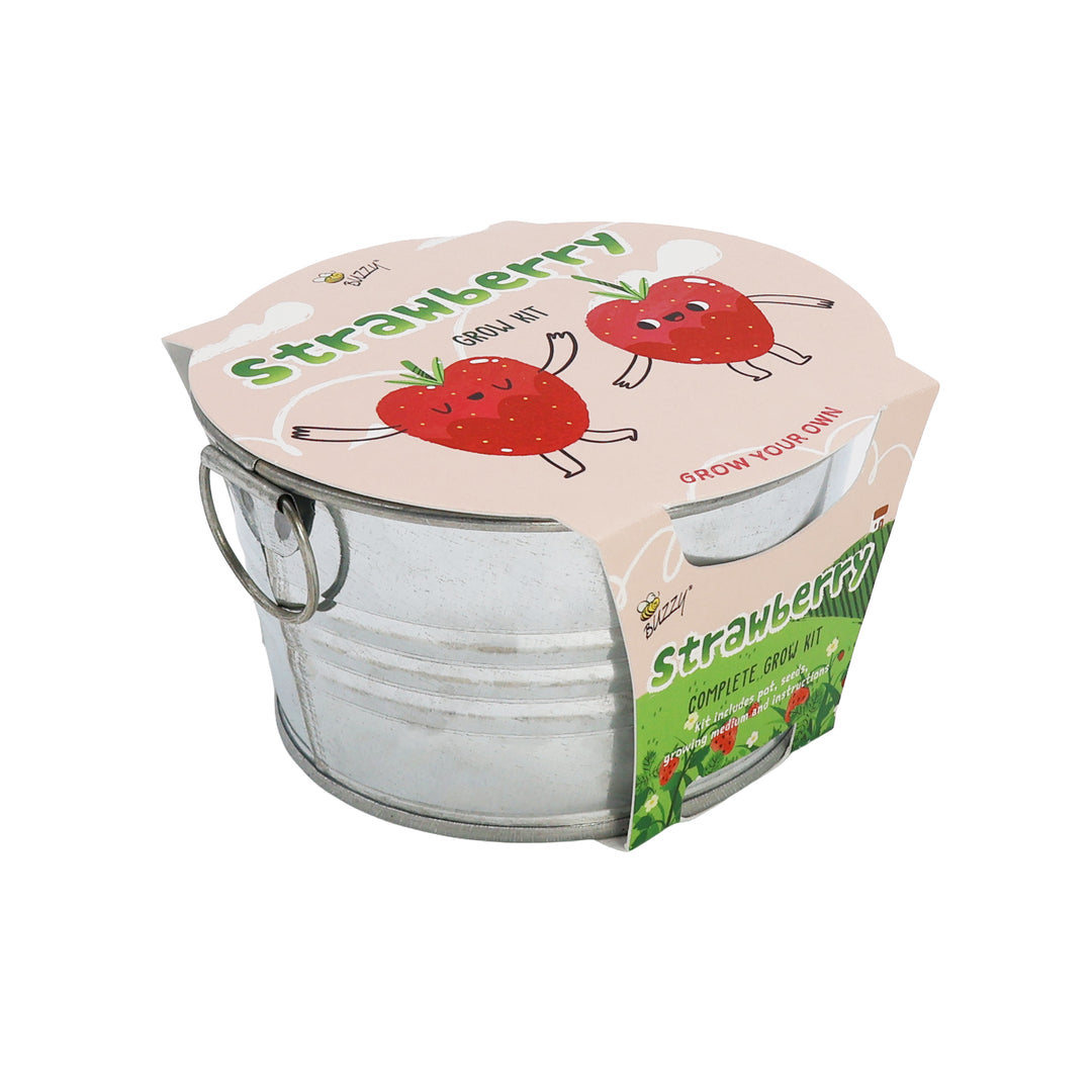 Kids Mini Basin Grow Kit Trio | Cactus, Strawberry & Sensitive Plant (3 Pack)