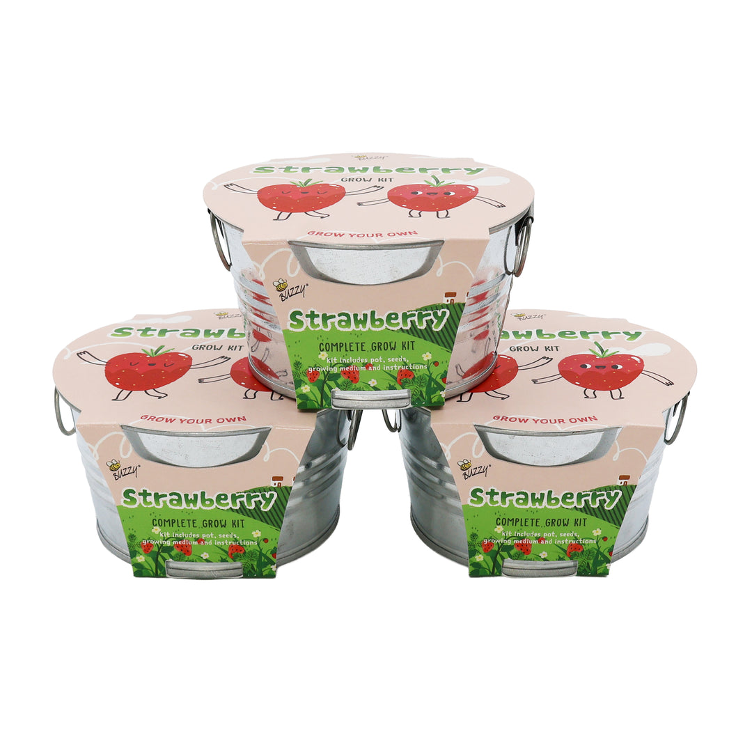Kids Mini Basin Grow Kit | Alpine Strawberry (3-Pack)