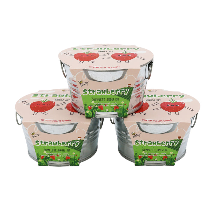 Kids Mini Basin Grow Kit | Alpine Strawberry (3-Pack)