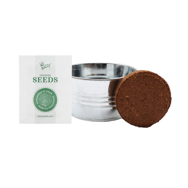 Kids Mini Basin Grow Kit Trio | Cactus, Strawberry & Sensitive Plant (3 Pack)