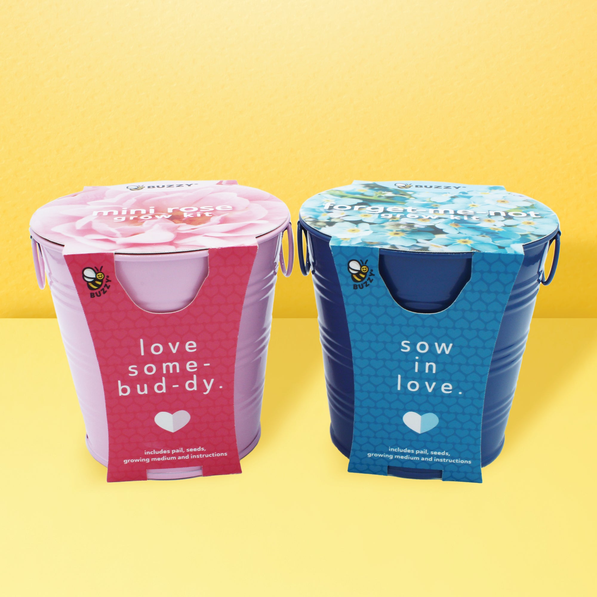 VDayPails_MiniRoseFMN_Amazon_I