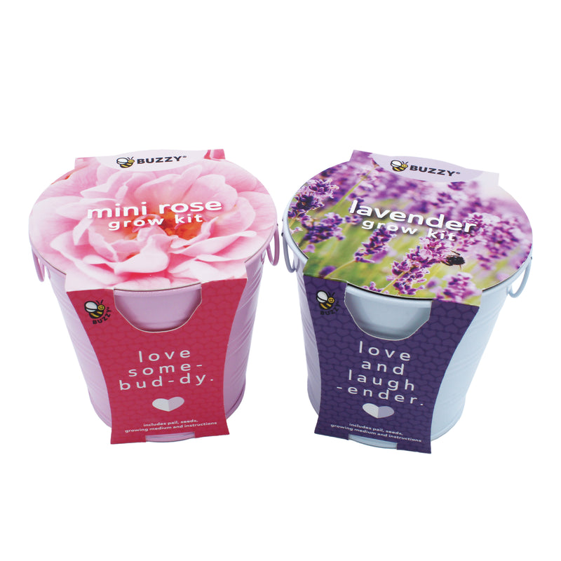 Flower Pail Duo | Mini Rose & Lavender