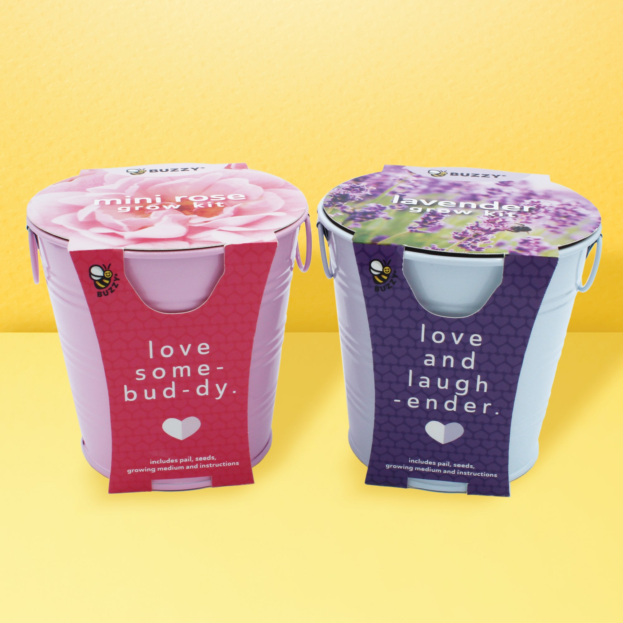 Valentine's Day – Buzzy Seeds