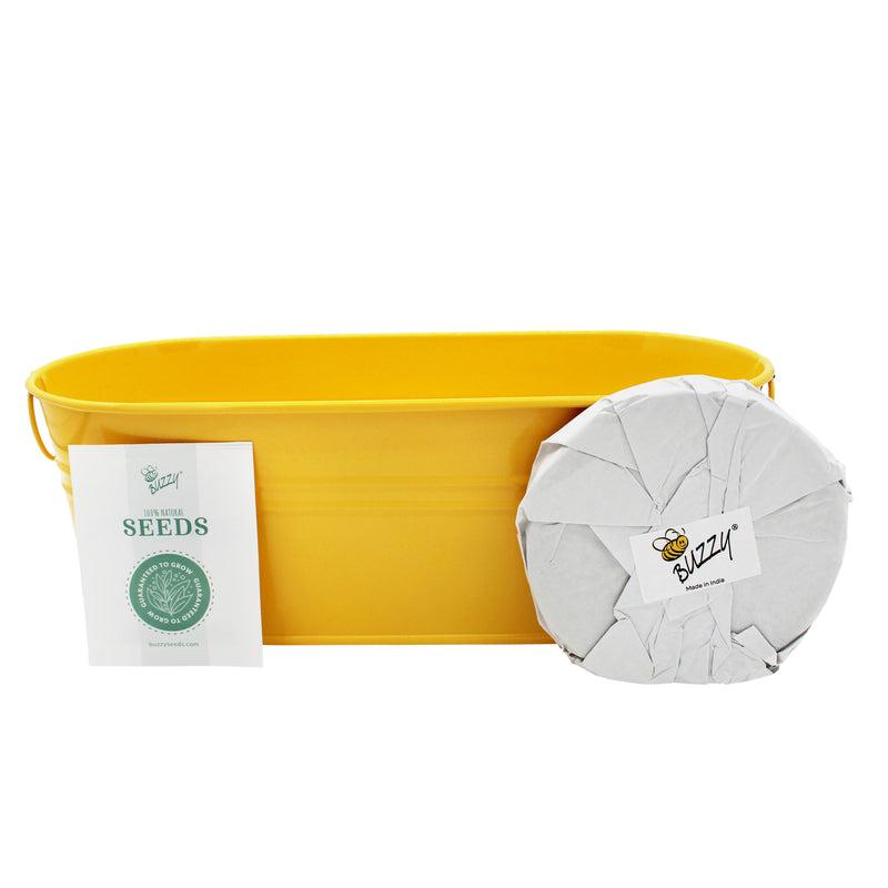 My First Garden Windowsill Grow Kit | Sunflower | Yellow
