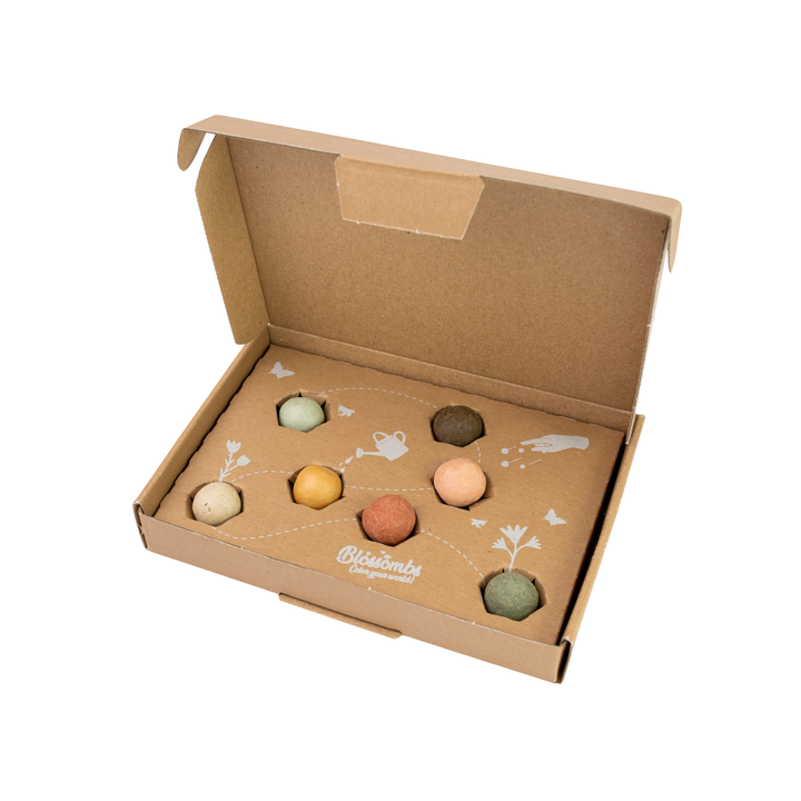 Wildflower Seed Ball Gift Box | Teacher Appreciation (7 Seed Balls)