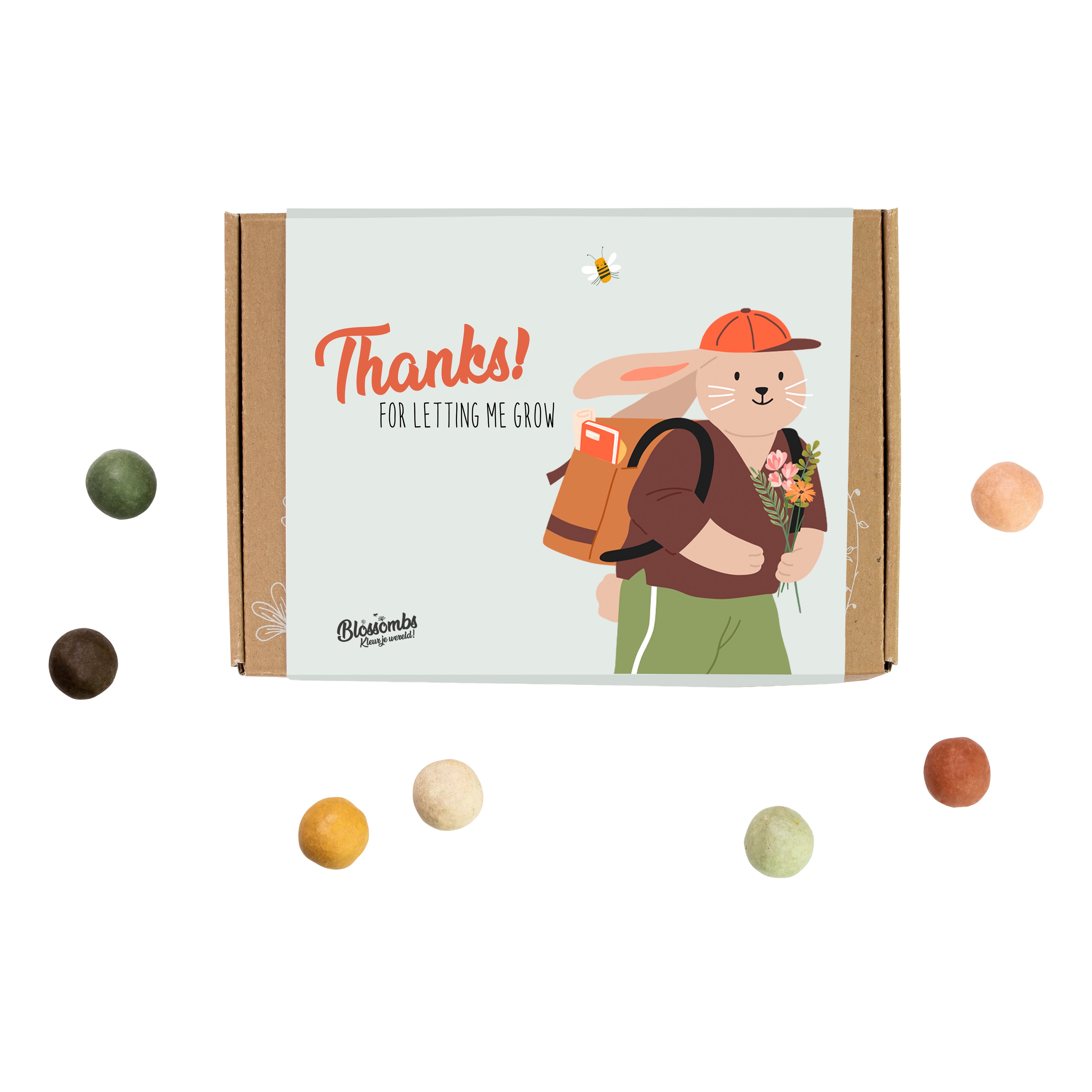 Easy & Simple Teacher & Staff Appreciation Gift (7 Seed Balls