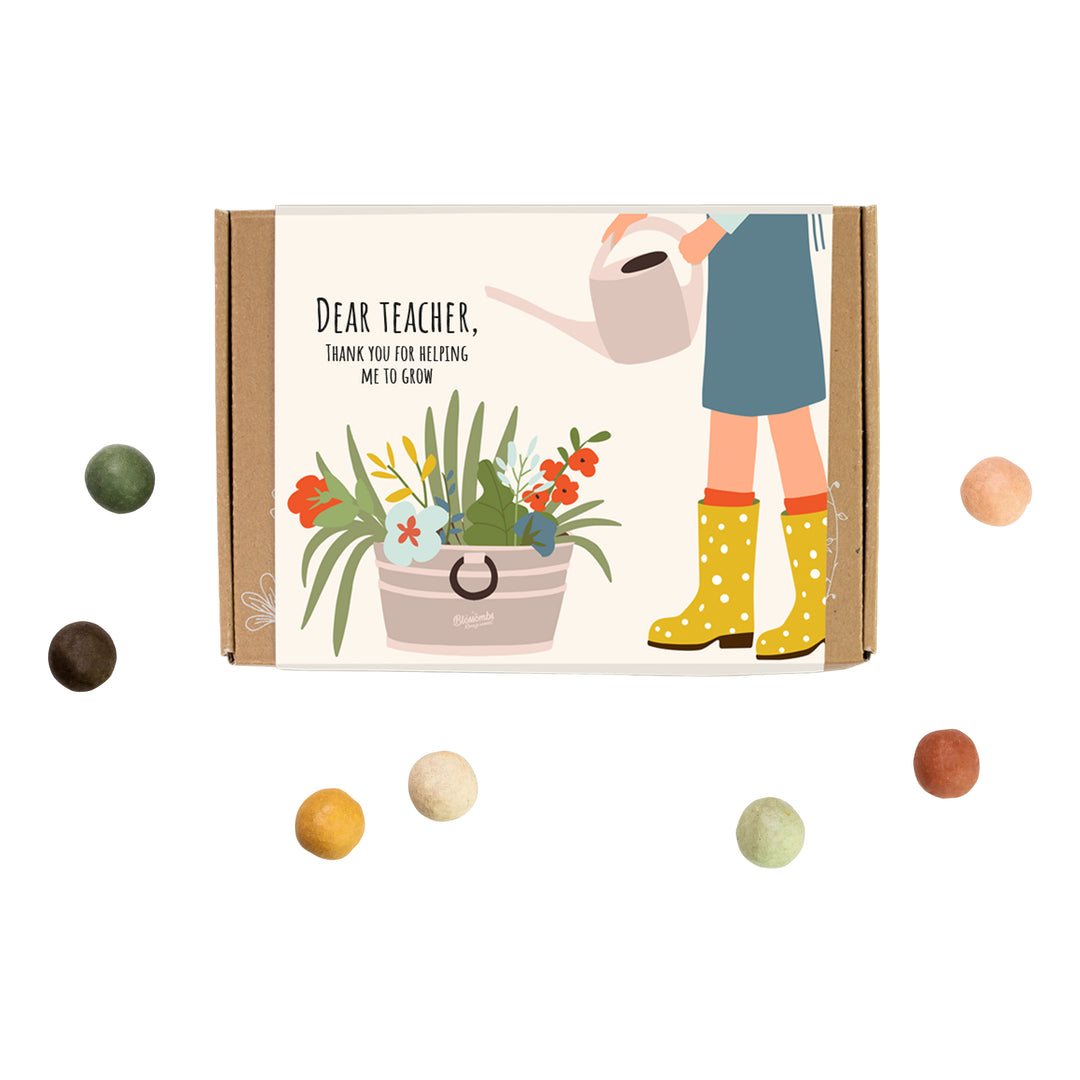 wildflower seed gift box Wildflower Seed Ball Gift Box for Teachers (7 Pack) – Buzzy Seeds