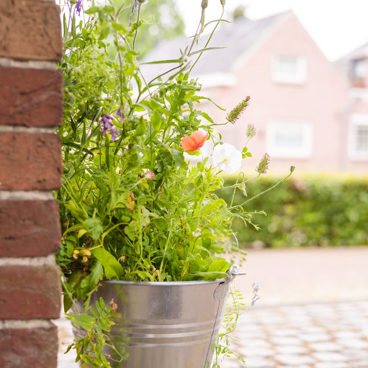 Happy Holidays Card + Wildflower Seed Ball Ornament | Gingerbread House