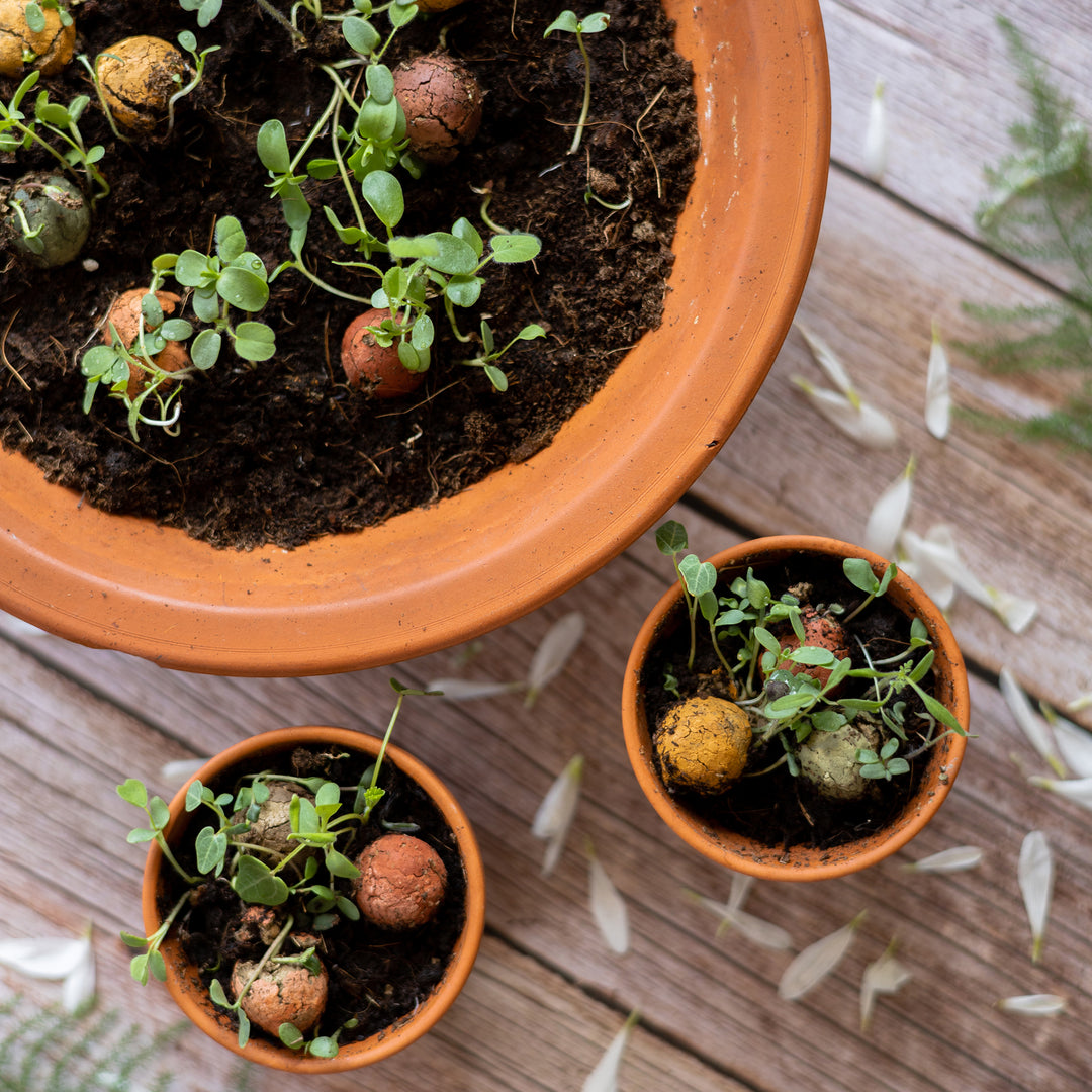Happy Holidays Card + Wildflower Seed Ball Ornament | Gingerbread House