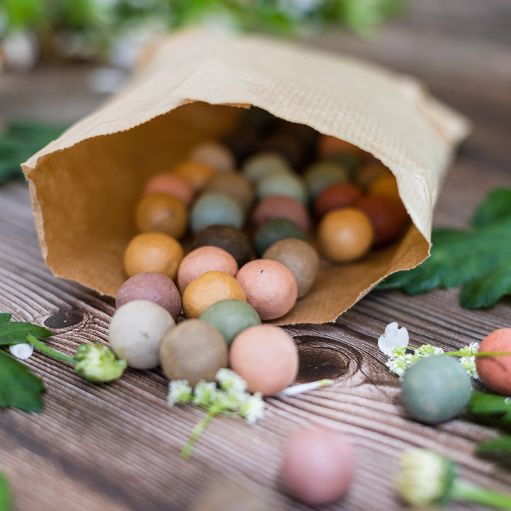 Happy Holidays Card + Wildflower Seed Ball Ornament | Gingerbread House