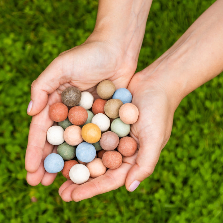 Happy Holidays Card + Wildflower Seed Ball Ornament | Gingerbread House