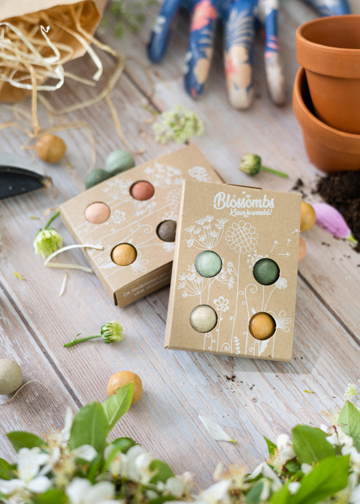 Merry Christmas & Happy New Year Wildflower Seed Balls Mini Gift Box for Garden Lovers