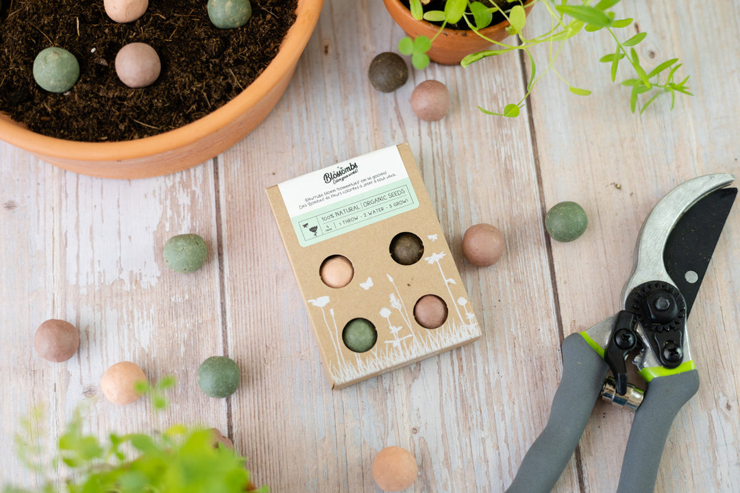 Lifstyle image of box with 4 seed balls as well as seed balls in a pot and on a table top with plant trimmer.