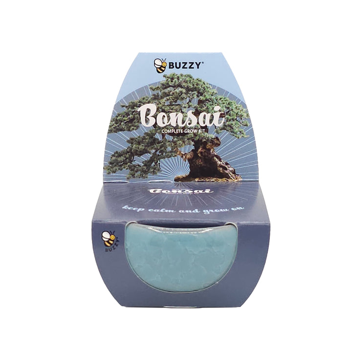 buzzy seeds bonsai tree Bonsai Tree Grow Kit