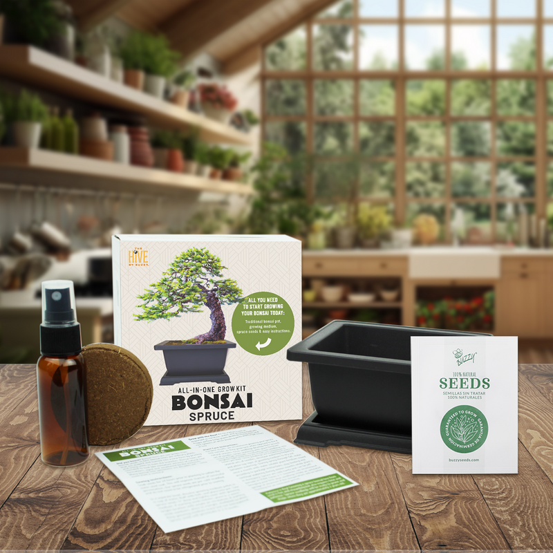 Spruce Bonsai Complete Grow Kit