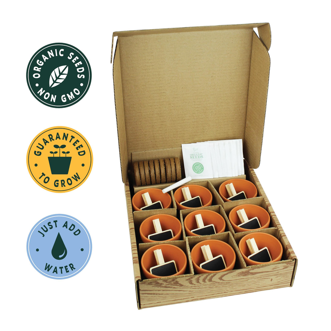 Apothecary Garden | Wellness Kit with 9 Herb & Flower Seeds, Pots & Markers