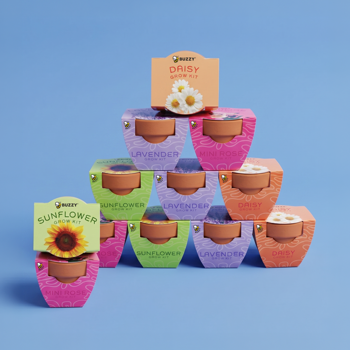 miniature flower seeds Bright Mini Terracotta Grow Kit | Assorted 12-pack