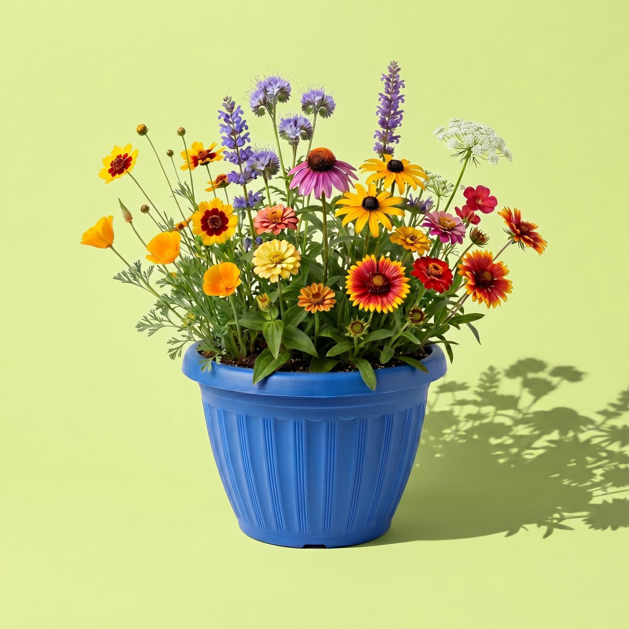 gromitページ/ プロコフィエフBOOSY＆HAUKES.等3冊セット Pollinator Flower Grow Kit with Wildflower Seeds (Set of 3