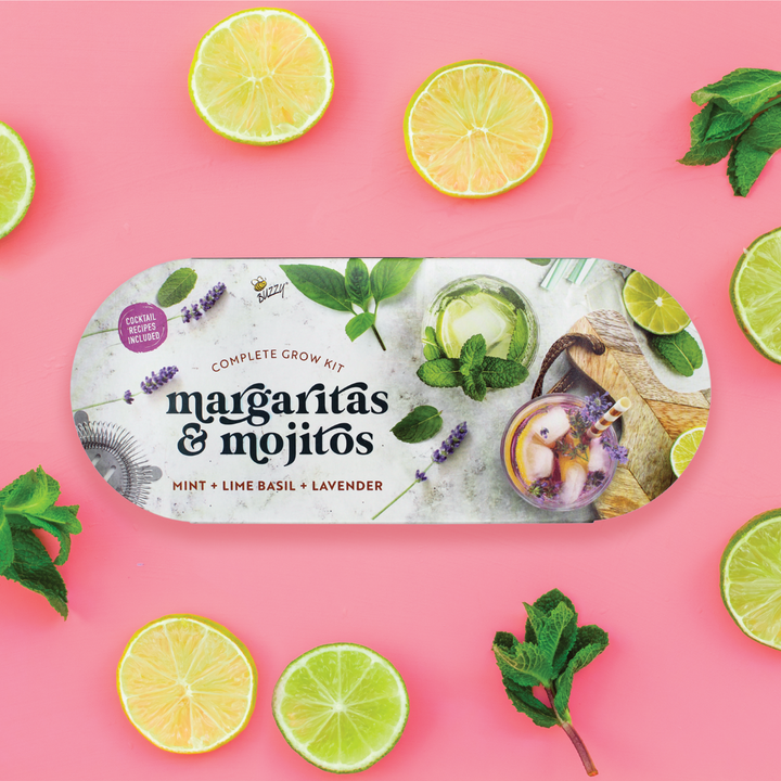 Margarita & Mojito Cocktail Windowsill Grow Kit | Mint, Lime Basil, and Lavender