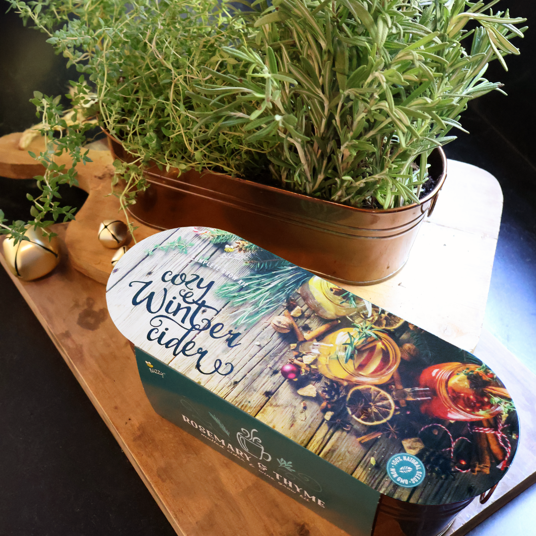 Festive Herb Grow Kit – Rosemary & Thyme for Indoor Windowsill Gardening
