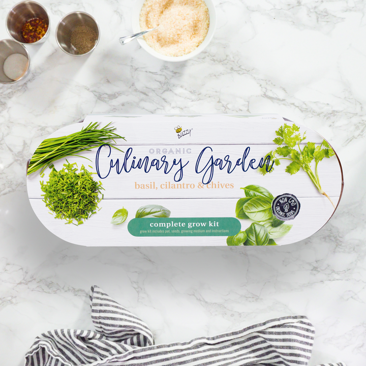Organic Culinary Garden Windowsill Grow Kit | Basil, Cilantro, & Chives