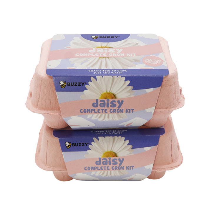 Daisy Grow Kit | Colorful Egg Carton (2 Pack)
