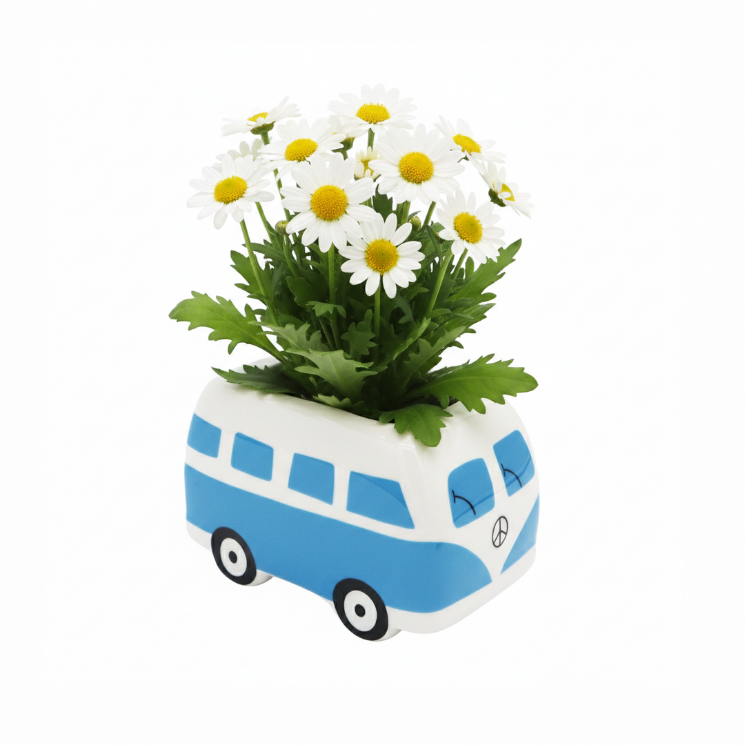 Hippie Bus Ceramic Planter Grow Kit | Set of 4 Flowers