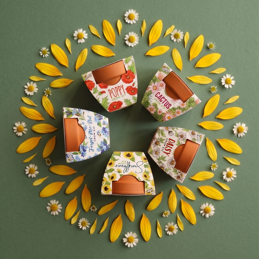 Daydream Mini Terracotta Pots | Assorted (12 Pack)