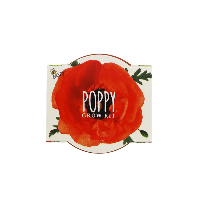 Daydream Mini Terracotta Pots | Poppy (12 Pack)
