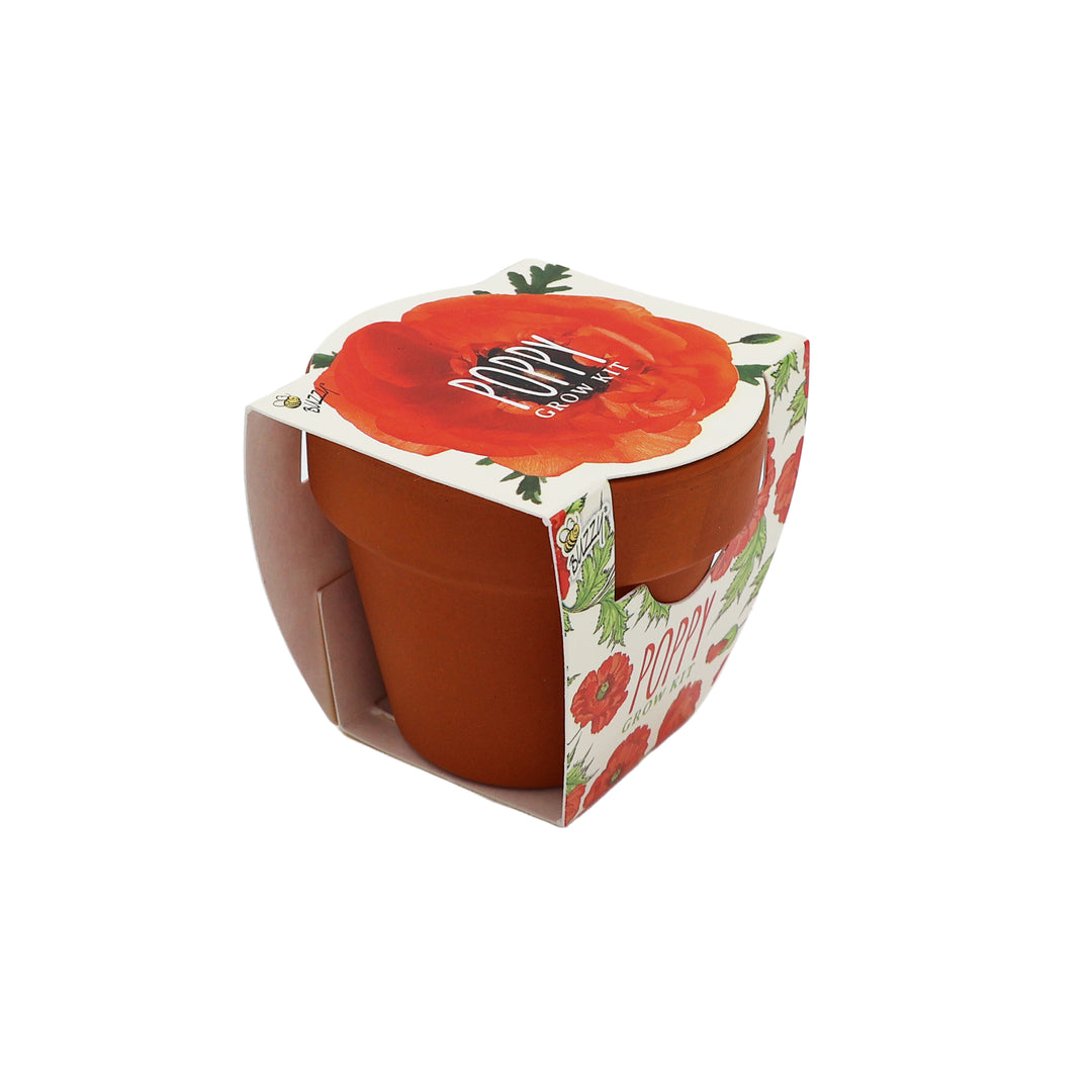 Daydream Mini Terracotta Pots | Poppy (12 Pack)