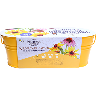 Wildflower Garden Pollinator Windowsill Grow Kit | Purple Coneflower & Black-Eyed Susan