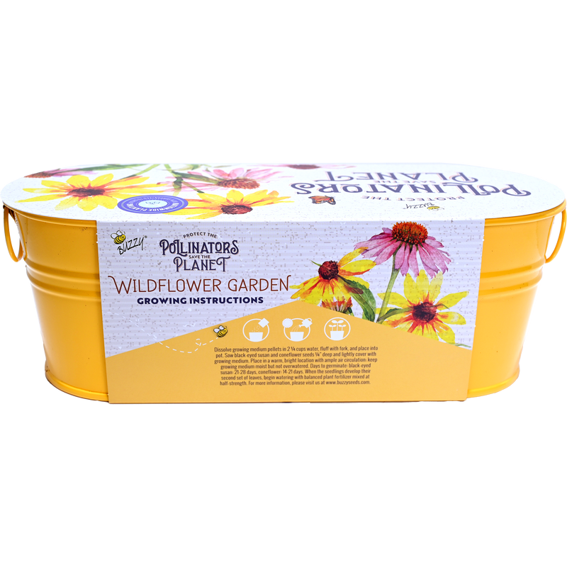 Wildflower Garden Pollinator Windowsill Grow Kit | Purple Coneflower & Black-Eyed Susan