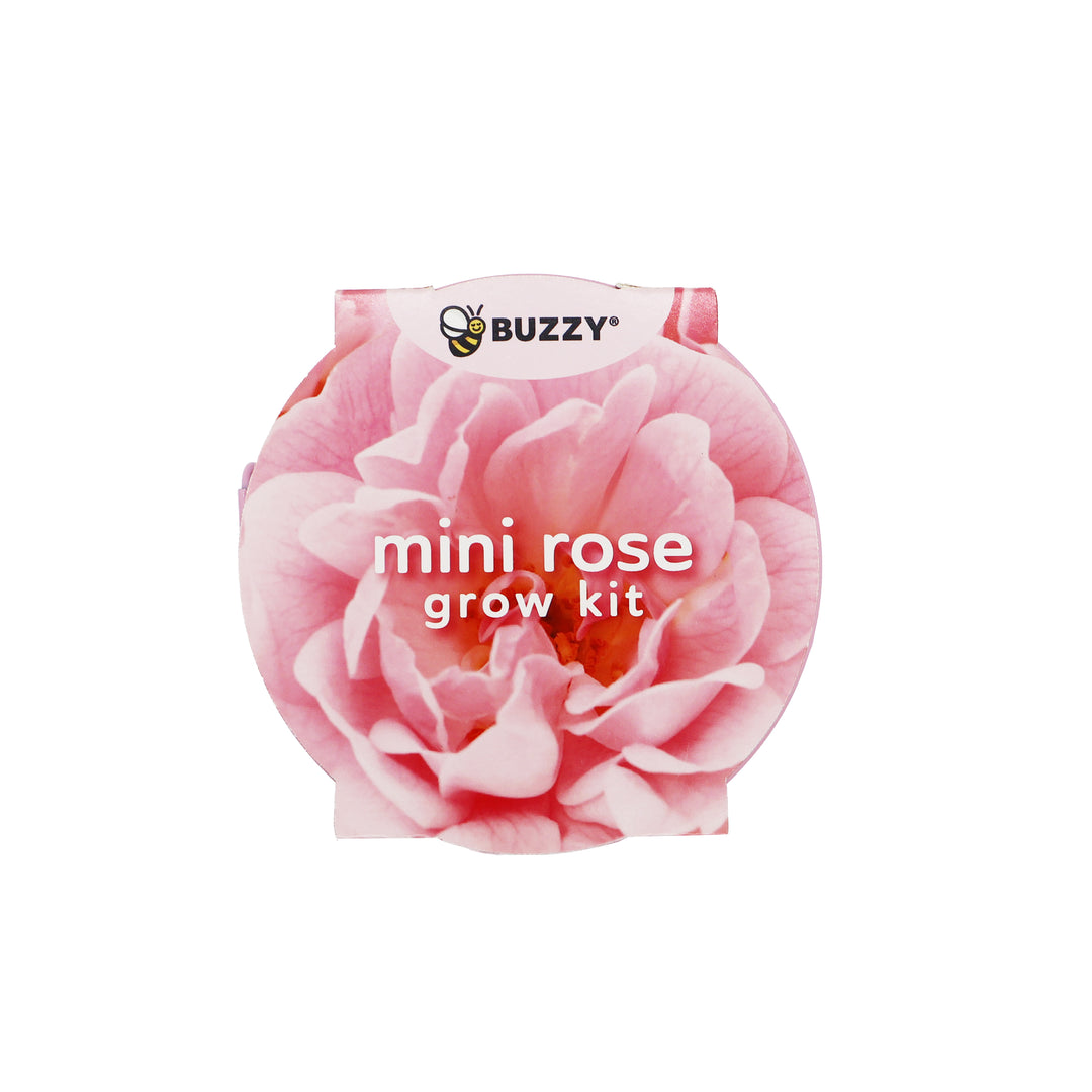 Flower Grow Kit | Mini Rose & Forget-Me-Not (2 Pack)