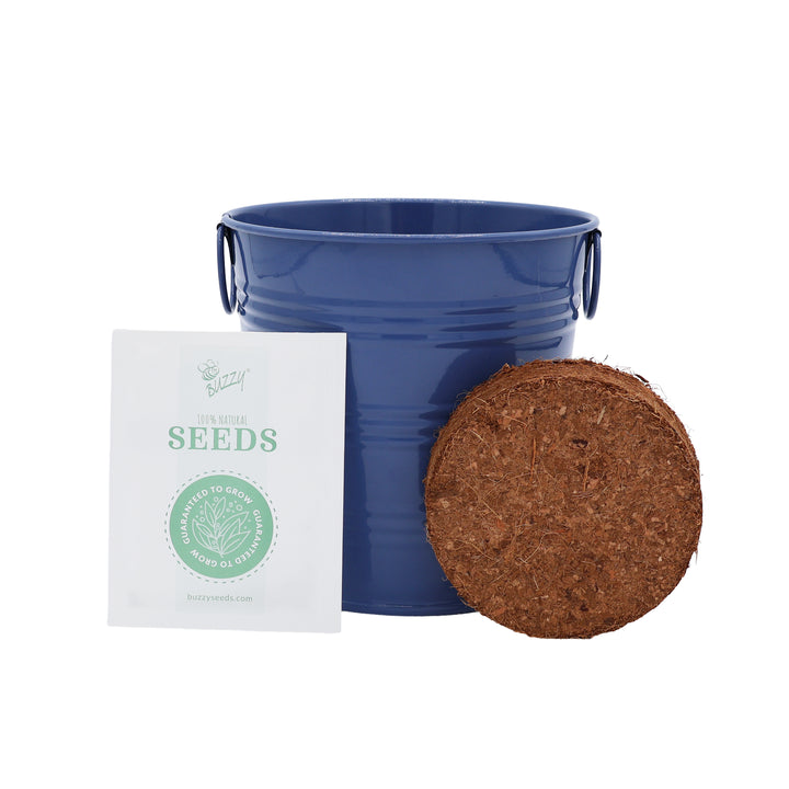 Flower Grow Kit | Mini Rose & Forget-Me-Not (2 Pack)