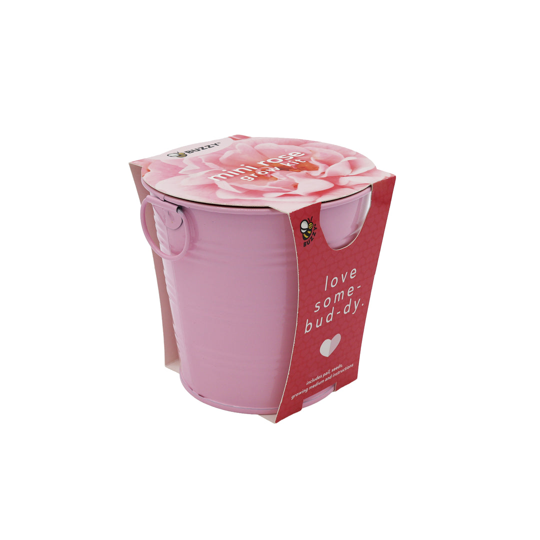 Flower Grow Kit | Mini Rose & Forget-Me-Not (2 Pack)