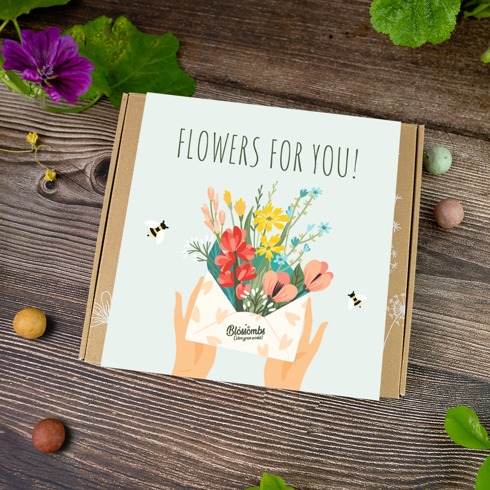 wildflower seed gifts Wildflower Seed Ball Gift Box