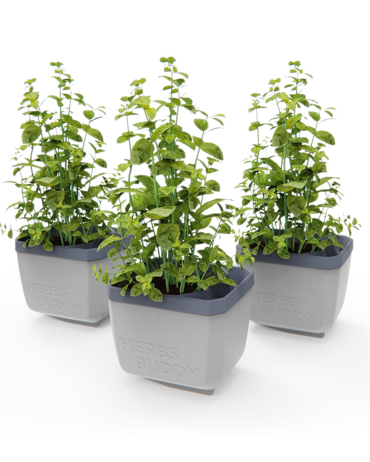 self watering outdoor herb planter Self-Watering Herb Planters | Indoor Herb Garden (3 Pack)