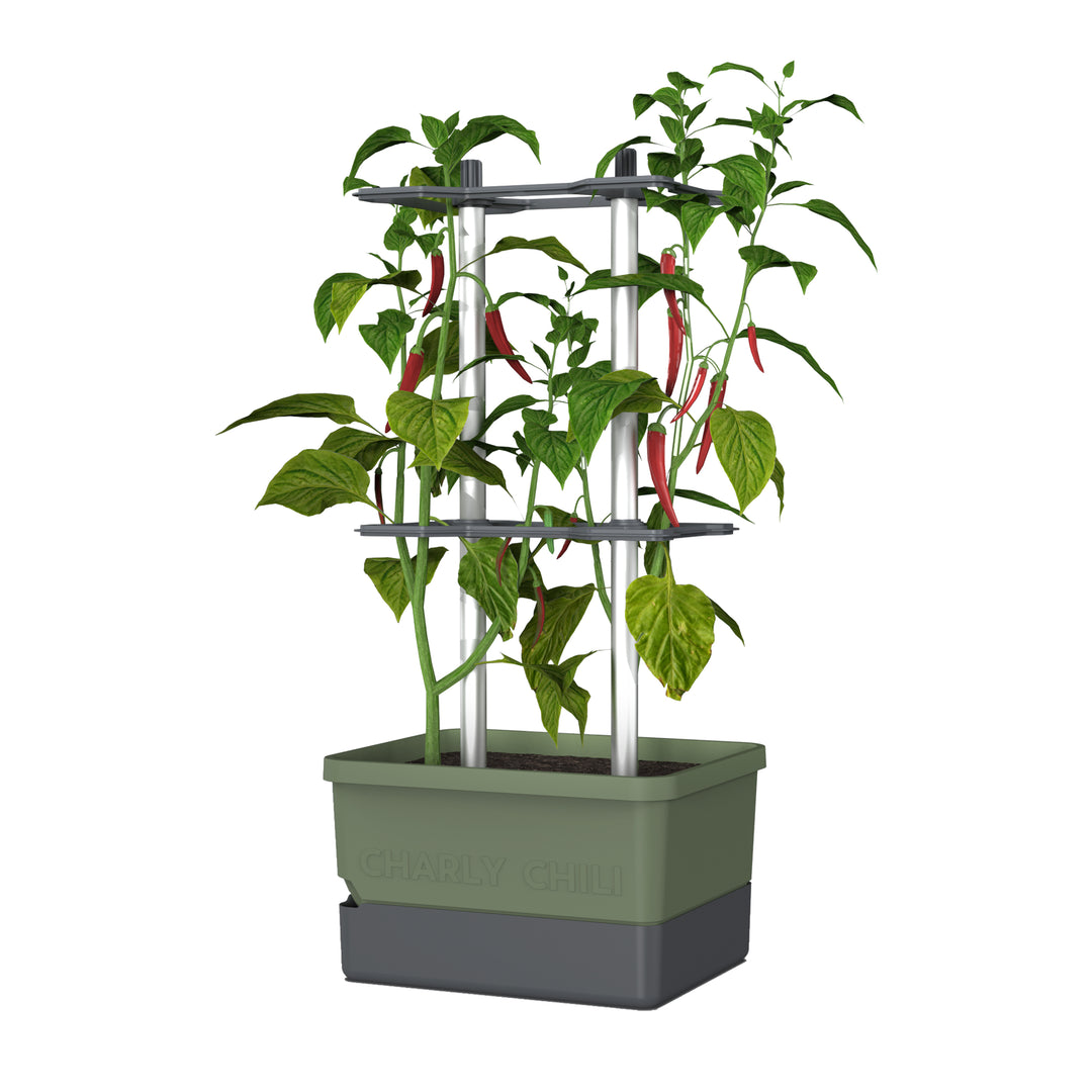 Self-Watering Chili Pepper Planter with Trellis | Vertical Garden for Small Spaces