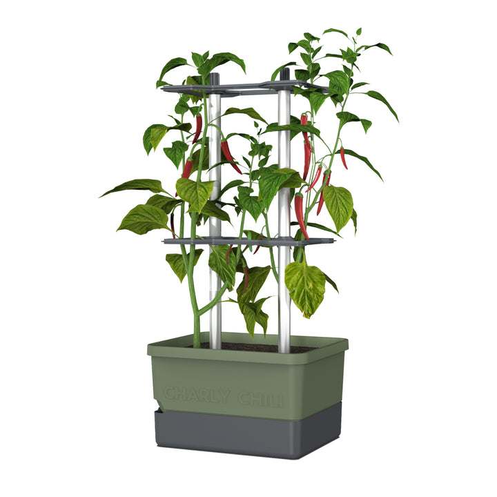 Self-Watering Chili Pepper Planter with Trellis | Vertical Garden for Small Spaces