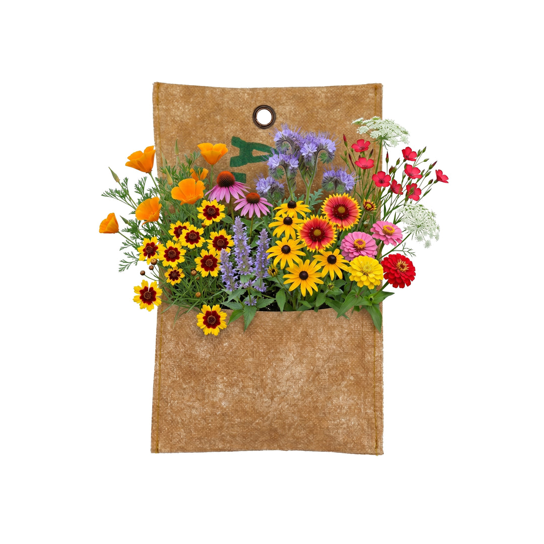 Save the Planet Wildflower Hanging Garden Kit | Recycled Tea Harvest Bag Planter