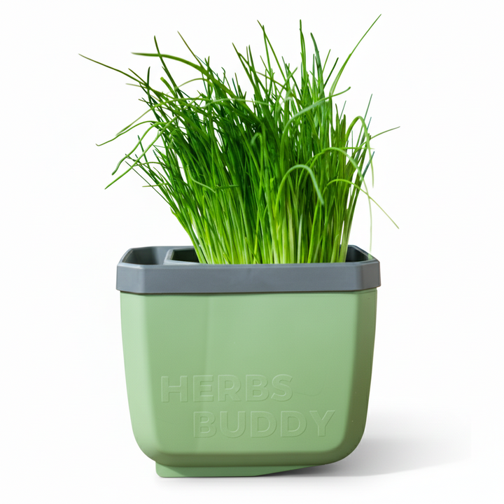 Self-Watering Herb Planter with Tilt Water Indicator for Indoor Growing | 3-Pack