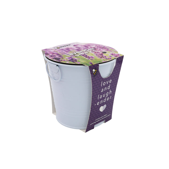Flower Grow Kit | Mini Rose & Lavender (2 Pack)